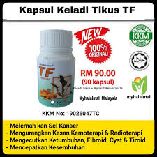 Era of hope mtg, pertahanan dept; Kapsul Keladi Tikus Tf Aprikot Asli 100 Keladi Tikus Asli