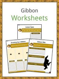 The emphasis is on observation, classification and understanding familiar subjects in a more scientific way. Science Worksheets Facts Lesson Plans For Kids