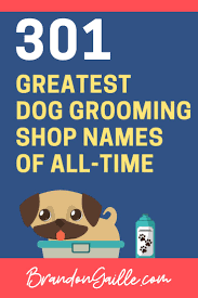 301 Most Creative Dog Grooming Shop Names