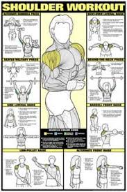 Co Ed Shoulder Workout Professional Fitness Gym Wall Chart