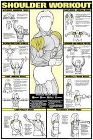 co ed shoulder workout professional fitness gym wall chart