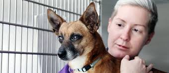 Caring for Bob in a time of crisis