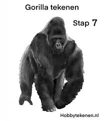 Realistische Gorilla Leren Tekenen Hobbytekenen Nl Aap tekenen stap voor stap. realistische gorilla leren tekenen