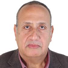 Adel HASSANEIN ELSAYED GAD
