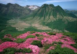 Magic Pink Rhododendron Flowers On Summer Mountain Waterfall Wallpaper Mountain Photos Mountain Wallpaper