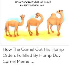 He has not recovered the work of moral: How The Camel Got His Hump By Rudyard Kipling How The Camel Got His Hump Orders Fulfilled By Hump Day Camel Meme Hump Day Meme On Me Me