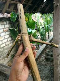 Dua cabang berada pada satu ruas tampak jelas seperti patil lele dewasa. Jual Bambu Petuk Patil Lele Asli Alam Di Lapak Fontc Store Bukalapak