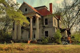 pin on magnificent desolation