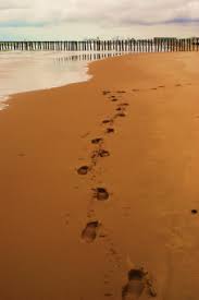 Suchen sie nach spuren im sand. Spuren Im Sand Fotos Kostenlose Foto Kostenlose Bilder Pxhere