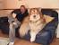 Diy Dog Couch