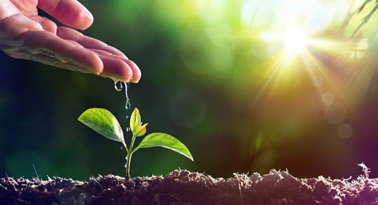 Resultado de imagem para imagem de recomeçar