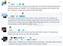 Bagaimanapun, itu bukanlah alasan kepada pihak pengurusan zoo negara untuk tidak memastikan kebajikan haiwan di zoo berkenaan terabai. Kecoh Orang Utan Di Zoo Negara Makan Plastik Ramai Seakan Tak Percaya Takkanlah Staf Zoo Sengaja Biarkan Perkara Ni Berlaku Viral Mstar