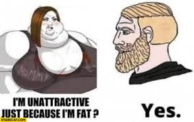 Your daily dose of fun! Fat Girl I M Unattractive Just Because I M Fat Man Yes Starecat Com