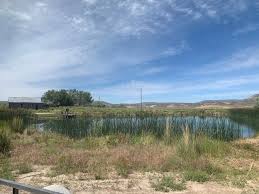 Image result for Little Catnip Spring - Sheldon Refuge Winnemucca NV