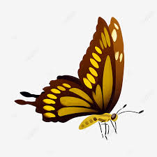 Gambar kupu kupu gambar free images pixabay unduh gambar gambar gratis yang menakjubkan tentang gambar kupu kupu untuk digunakan gratis tidak ada atribut yang di perlukan gambar terkait kupu kupu serangga. Gambar Kupu Kupu Terbang