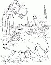 Looking for wile coyote coloring page ! Coyotes Howling In Desert 251084 Coyote Coloring Pages Coloring Home