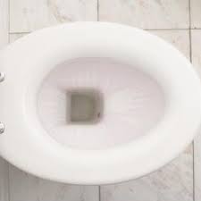 What Kind Of Paint Should You Use To Paint A Toilet Bowl Ehow Com Clean Toilet Bowl Toilet Bowl Stains Toilet Bowl