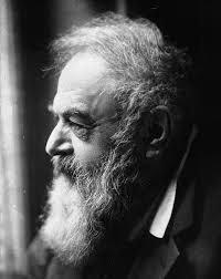 Tristan Bernard's Instagram, Twitter & Facebook