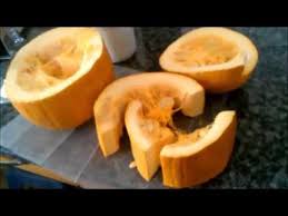 You can actually feed small amounts to your bunny every day as a healthy snack. If You Give A Rabbit A Pumpkin Youtube