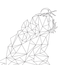 Our free coloring pages for adults and kids, range from star wars to mickey mouse. Adult Coloring Book Urban Stories