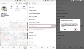 Cara Membuat Private Akun Instagram Agar Tida Bisa Diintip Gadgetren
