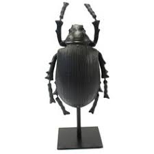 Tisch Figur Kafer Abbey One Schwarz Auswahl 1 X Tisch Figur Kafer Abbey One Schwarz Material Polyresin Metall Farbe Schwarz Eigens Metall Farbe Figur Deko