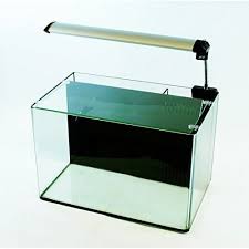 Aqua Japan 24l All In One Aquarium Fish Aquarium Supplies Fish Tank