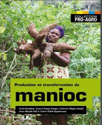 Guide Pratique Sur La Production Et La Transformation Du Manioc Mediaterre