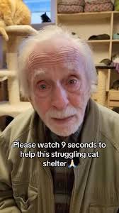 Milo Pierce (@milo.pierce) • Facebook