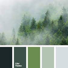 The effect created by such a scheme is just as contrasting as the one before but slightly less intense. What Colors Go Best With Dark Green Quora