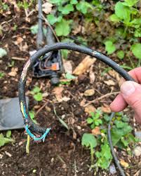 Profile for L J Mullan Electrical