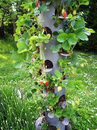 Epingle Sur Jardin