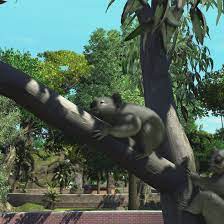You have to follow these steps: Zoo Tycoon Cheat Codes For Pc