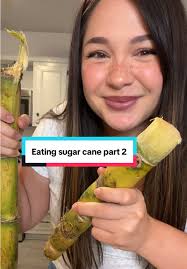 Sugar Cane Agentic Orange