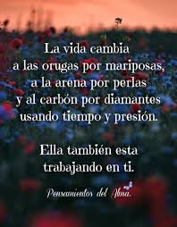 Pin De Eva Maria Fajardo En Evita En 2020 Frases Bonitas De Motivacion Frases De Sabiduria Frases Motivadoras