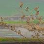 Profile Picture of Urbanization in Pishdar leads to decline in sparrow populations (@964media.com) on Google