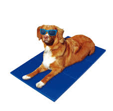 Pet fit for life cooling gel pad for dogs. China Reusable Waterproof Pet Cooling Gel Mat Dog Pad Summer Cool Mat China Dog Cooling Mat And Dog Gel Mat Price