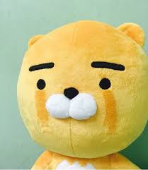 더지인 이미지