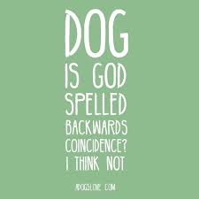 Dog Is God Spelled Backwards Dog Quotes Fur Baby Quotes I Love Dogs