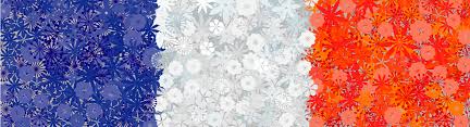 We did not find results for: Want To Send Flowers To France Read This First Floraqueen