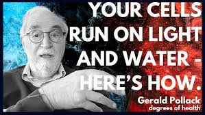 Episode 237 Ann Harrison