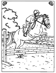Handige tips om veilig je paard buiten te laten grazen. Kleurplaten Paradijs Kleurboek Manege Horse Coloring Pages Horse Drawings Horse Coloring