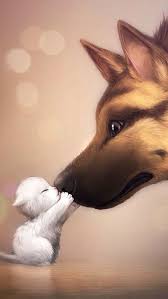 Pin By Hy Hy On Animals Cute Creatures Animals Animals Beautiful