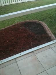 When growing sunflowers indoors, urban gardeners usually start asking about hydroponics. Planting Sunflowers In Florida Salted Chocolate Life With A Dash Of Flavor