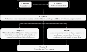 Image result for Strychnos matopensis