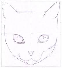 It is not sketching and. How To Draw A Cat Learn How To Create A Unique Colorful Cat Drawing Art Is Fun