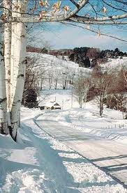 Gary Roelli Adli Kullanicinin Snow Scene S Panosundaki Pin Goruntuler Ile Manzara Resimler Ormanlar