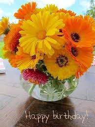 Wishing you a magical birthday filled with wonderful surprises! Happy Birthday Wiches Happy Birthday Flowers Askbirthday Com You Number One Source For Beautiful Collection Of Best Happy Birthday Wishes With Lovely Special Funny Good Amazing And Free Bday Wishes