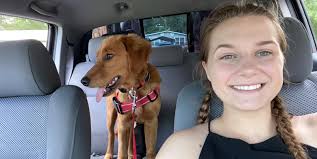 Using Trifexis for heartworm, flea, and tick prevention?