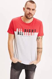Mercan Erkek Renk Bloklu Slim Fit Kisa Kollu T Shirt 973617 Defacto 2020 Tisort Fit Renkler